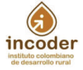 Cliente 16